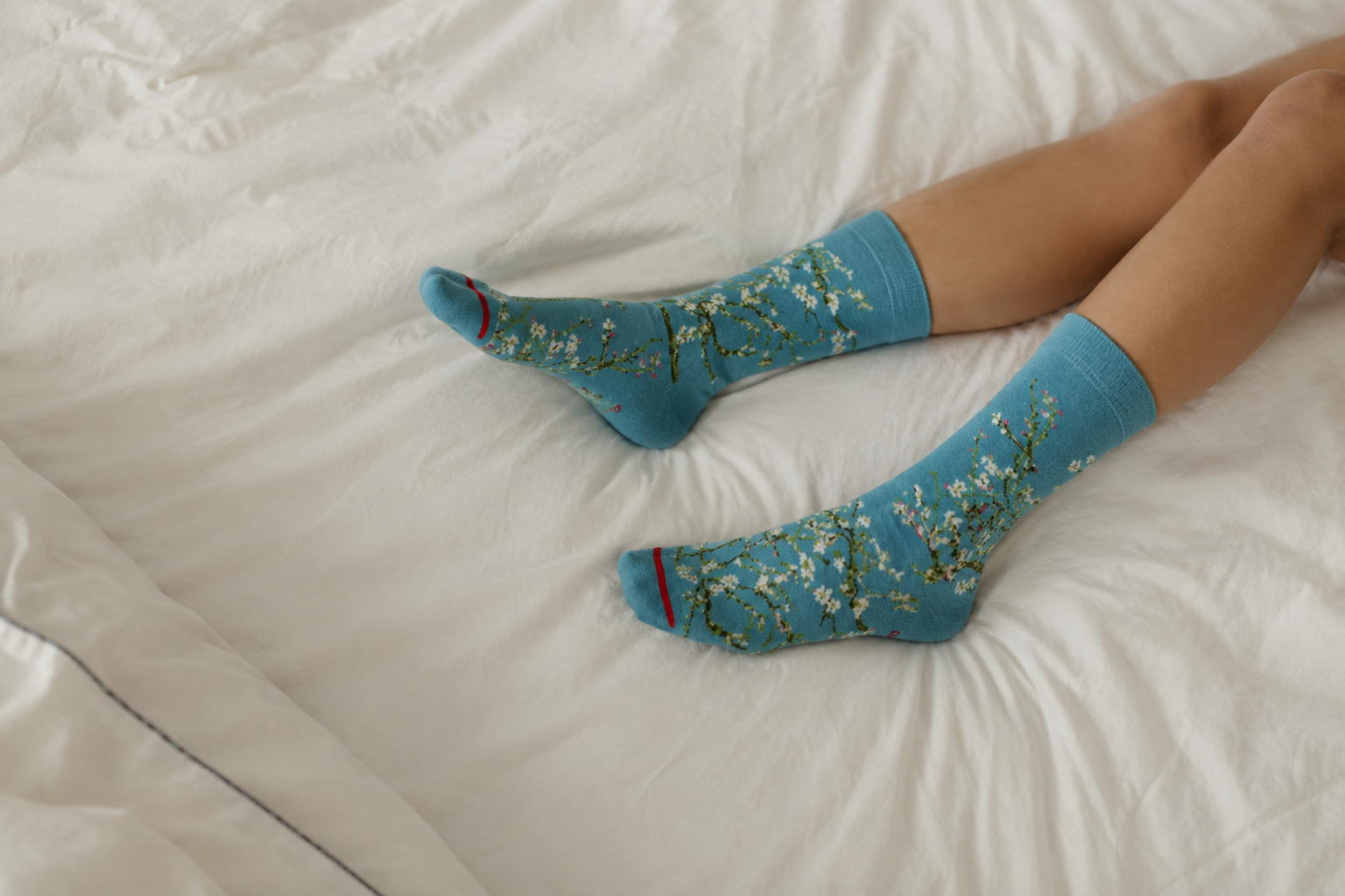 Art Socks
